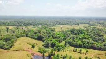 VENTA DE FINCA l LAS PAVAS, SARAPIQUÍ l HEREDIA l PRECIO NEGOCIABLE.