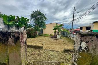MLS-26-991 VENTA LOTE TURRIALBA CENTRO 