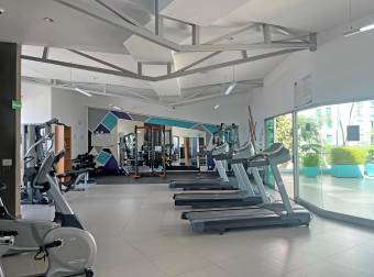 Modern Apartment in San Sebastián, San José