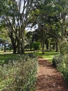 HEREDIA SAN RAFAEL VENDO APARTAMENTO $120.000