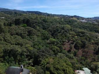 Se vende lote de 2.4 hectáreas en San Ramon de Cartago 22-1541