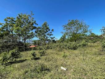 Se vende lote de 2.4 hectáreas en San Ramon de Cartago 22-1541