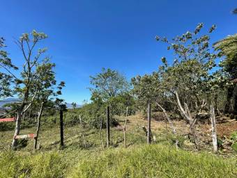 Se vende lote de 2.4 hectáreas en San Ramon de Cartago 22-1541