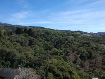 Se vende lote de 2.4 hectáreas en San Ramon de Cartago 22-1541