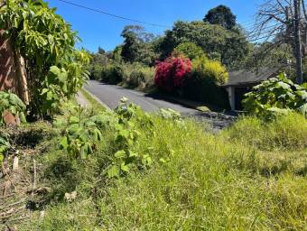 Se vende lote de 2.4 hectáreas en San Ramon de Cartago 22-1541