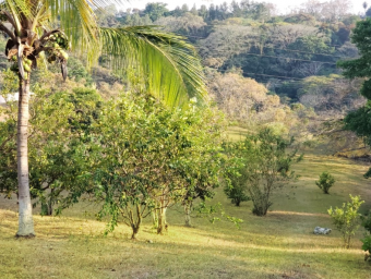 Terreno para desarrollar con hermosa vista en Carrillos de Alajuela