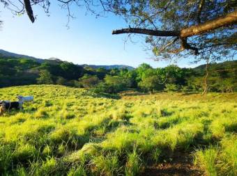 Finca en la Peninsula de Nicoya a 5 km del mar 