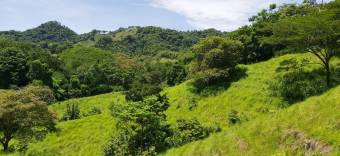 Finca en la Peninsula de Nicoya a 5 km del mar 