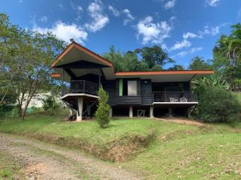 MLS-21-462 VENTA PROPIEDAD CON DOS CASAS PEJIBAYE TURRIALBA