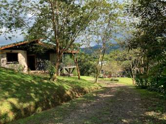 MLS-21-462 VENTA PROPIEDAD CON DOS CASAS PEJIBAYE TURRIALBA