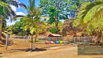 LOT WITH PANORAMIC VIEW. GRECIA, ALAJUELA #20307as