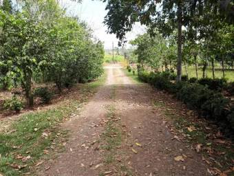 vacant land for sale Alajuela San Carlos Pocosol Santa Maria