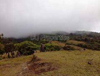 Farm for sale, San Rafael de Heredia  88 hectares