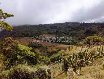 Farm for sale, San Rafael de Heredia  88 hectares