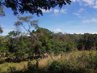 Venta de Lote en Labrador, Alajuela. RAH 24-1651