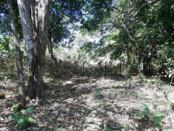 Venta de Lote en Labrador, Alajuela. RAH 24-1651