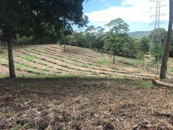 Venta de Lote en Labrador, Alajuela. RAH 24-1651