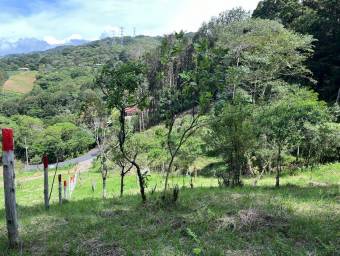 Venta de Lote en Quebradilla, Cartago. RAH 24-1504