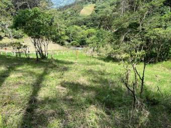 Venta de Lote en Quebradilla, Cartago. RAH 24-1504