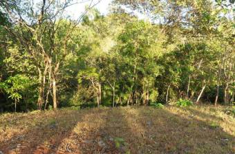 Venta de Lote en Hojancha, Guanacaste. RAH 25-859