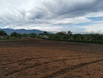 Venta de Lote en San Rafael, Alajuela. RAH 25-742