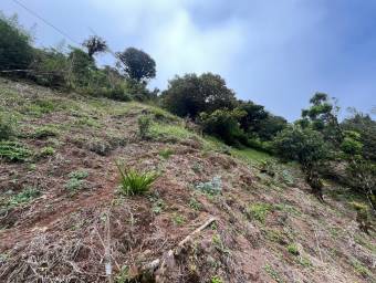 Venta de Finca en El Guarco, Cartago. RAH 25-921