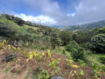 Venta de Finca en El Guarco, Cartago. RAH 25-921