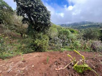 Venta de Finca en El Guarco, Cartago. RAH 25-921