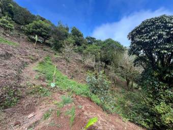 Venta de Finca en El Guarco, Cartago. RAH 25-921