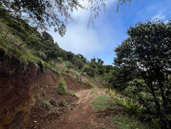 Venta de Finca en El Guarco, Cartago. RAH 25-921