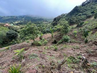 Venta de Finca en El Guarco, Cartago. RAH 25-921