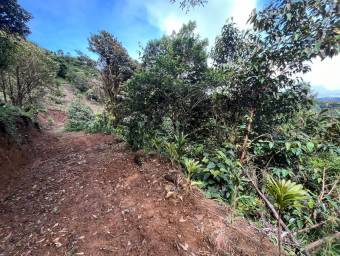 Venta de Finca en El Guarco, Cartago. RAH 25-921