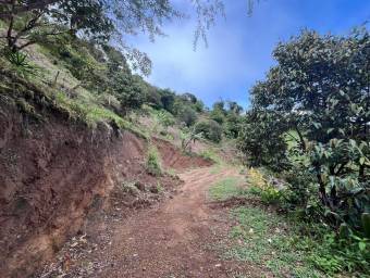 Venta de Finca en El Guarco, Cartago. RAH 25-921