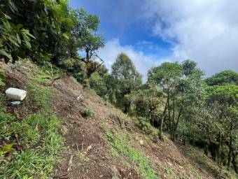 Venta de Finca en El Guarco, Cartago. RAH 25-921