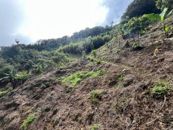 Venta de Finca en El Guarco, Cartago. RAH 25-921