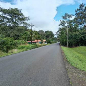 Venta de Lote en Florencia-San Carlos, Alajuela. RAH 25-919