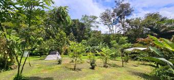 Venta de Finca en Guápiles IDEAL PARA INVERSIÓN TURÍSTICA