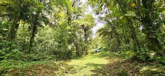 Venta de Finca en Guápiles IDEAL PARA INVERSIÓN TURÍSTICA