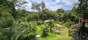 Venta de Finca en Guápiles IDEAL PARA INVERSIÓN TURÍSTICA