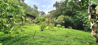 Venta de Finca en Guápiles IDEAL PARA INVERSIÓN TURÍSTICA