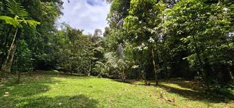 Venta de Finca en Guápiles IDEAL PARA INVERSIÓN TURÍSTICA