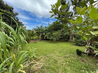 Venta de Lote en Aguas de Zarcas-San Carlos, Alajuela. RAH 25-701