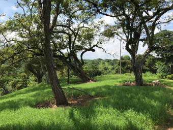 Venta de Lote en La Ceiba de Orotina, Alajuela. RAH 25-776