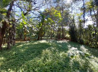 Venta de terreno en Orotina, Alajuela