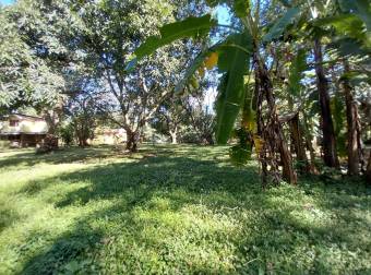 Venta de terreno en Orotina, Alajuela