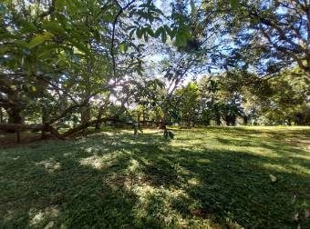 Venta de terreno en Orotina, Alajuela