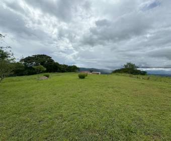 Lot of 1,188 m2 for sale in Hacienda Los Bambúes condominium in Ciudad Colón.