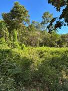 Land for sale in Tamarindo, Guanacaste