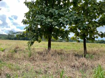 VENTA DE FINCA, PUNTARENAS, PARRITA, PLAYON