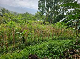 VENTA DE DOS LOTES, SAN JOSE, MORA, PICAGRES